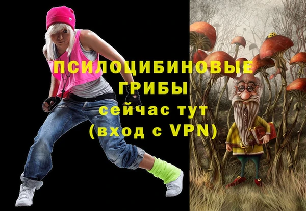 гидропоника Армянск