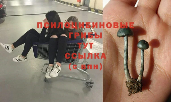 каннабис Арсеньев