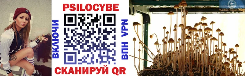 Псилоцибиновые грибы Psilocybine cubensis  Судак 